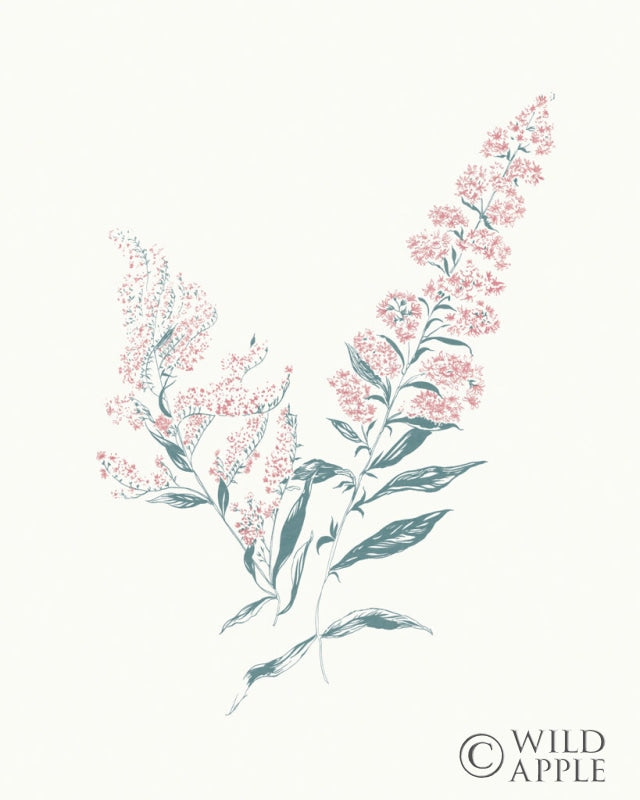 Reproduction of Flowers on White I Contemporary Bright by Wild Apple Portfolio - Wall Decor Art