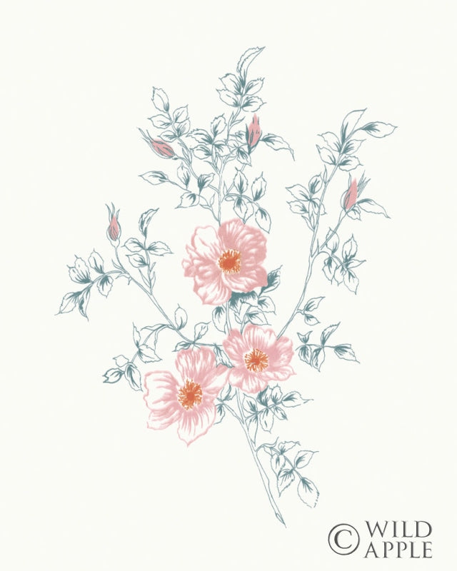 Reproduction of Flowers on White II Contemporary Bright by Wild Apple Portfolio - Wall Decor Art