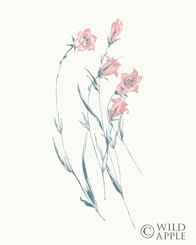 Reproduction of Flowers on White V Contemporary Bright by Wild Apple Portfolio - Wall Decor Art