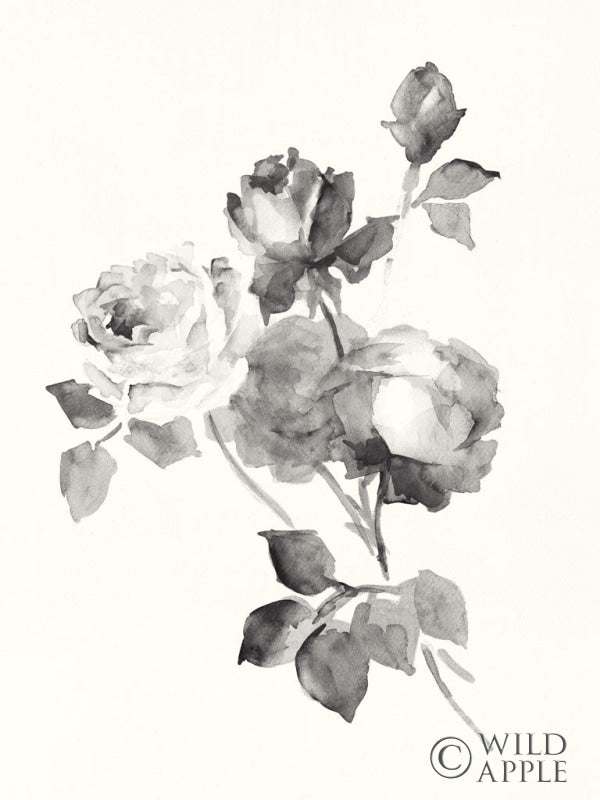 Reproduction of Rose Blossoms Gray Crop by Wild Apple Portfolio - Wall Decor Art