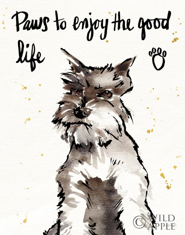 Reproduction of Strike a Paws XIV by Anne Tavoletti - Wall Decor Art