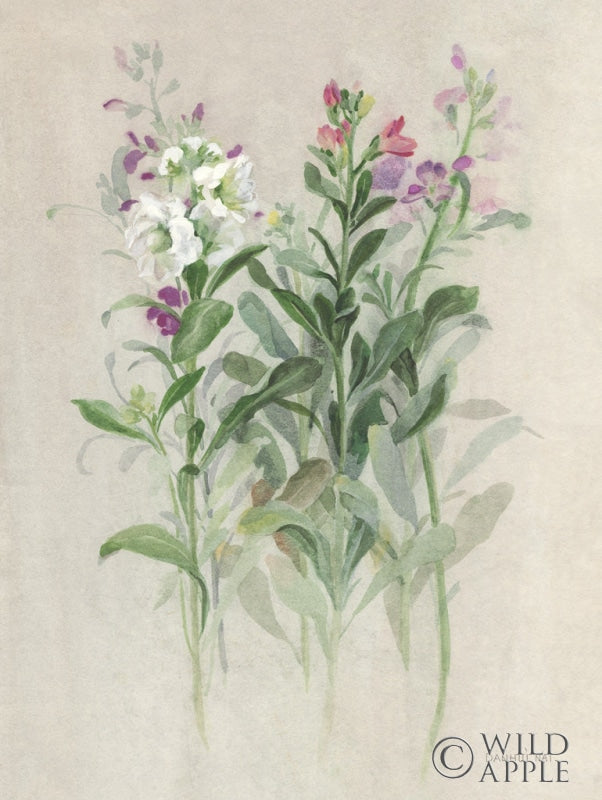 Reproduction of Sprigs of June I by Danhui Nai - Wall Decor Art