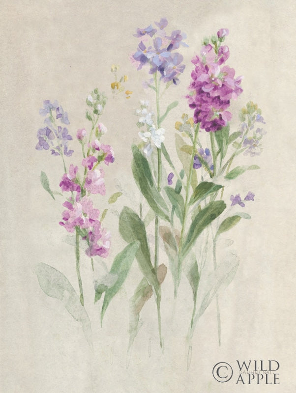 Reproduction of Sprigs of June II by Danhui Nai - Wall Decor Art