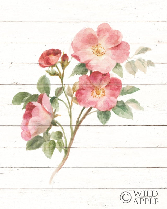 Reproduction of Sprigs of Summer II by Danhui Nai - Wall Decor Art