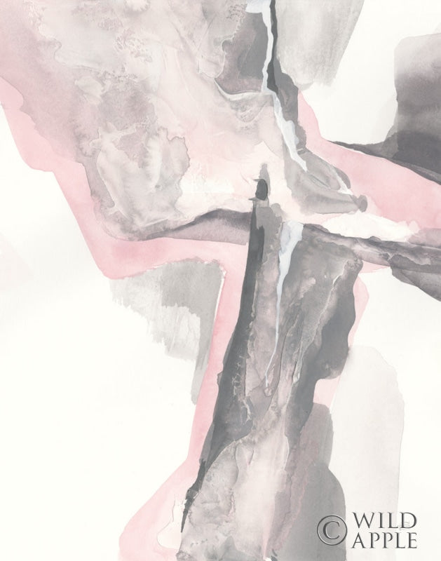 Reproduction of Blushing Grey II Crop by Chris Paschke - Wall Decor Art