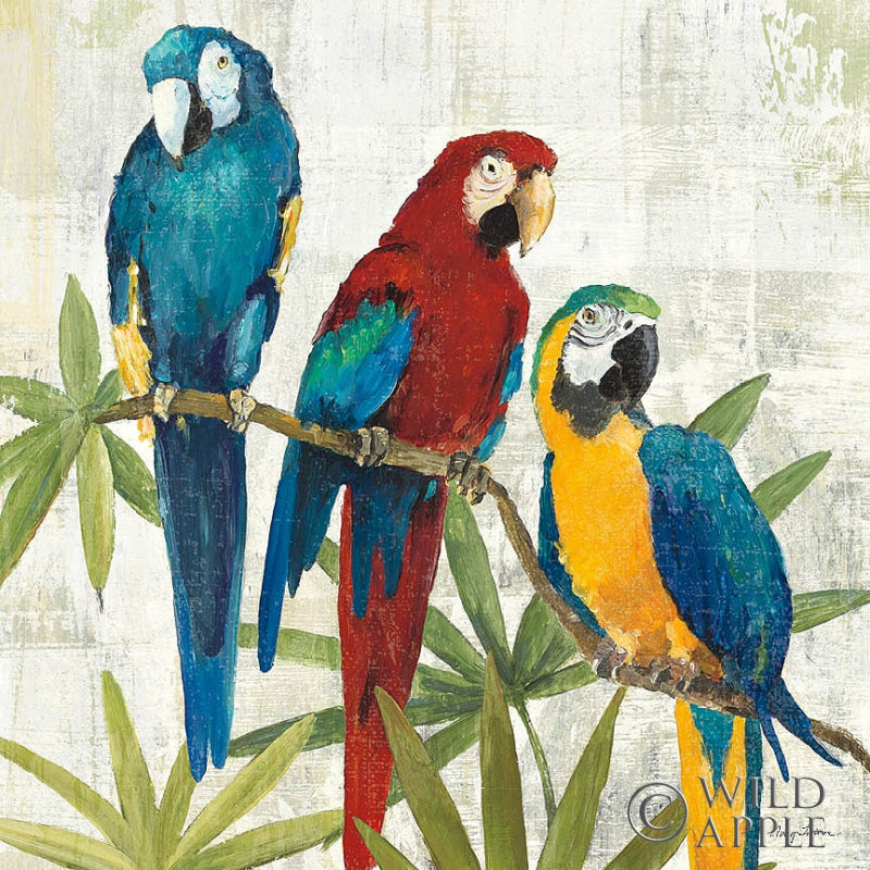 Reproduction of Birds of a Feather Square I by Avery Tillmon - Wall Decor Art