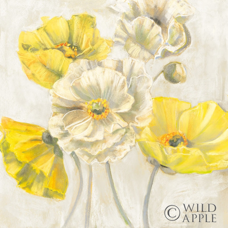 Reproduction of Gold and White Contemporary Poppies Neutral by Carol Rowan - Wall Decor Art