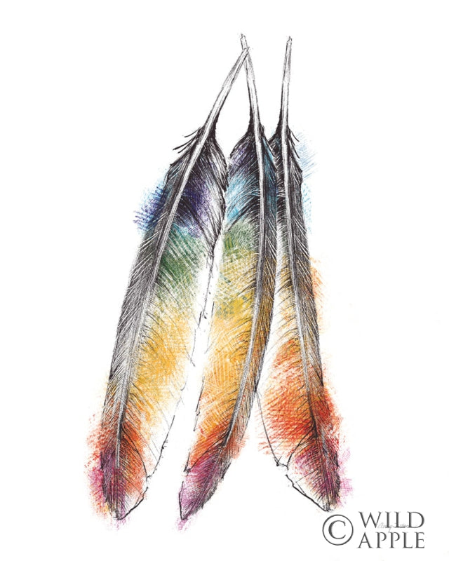 Reproduction of Longhorn Feather V by Avery Tillmon - Wall Decor Art