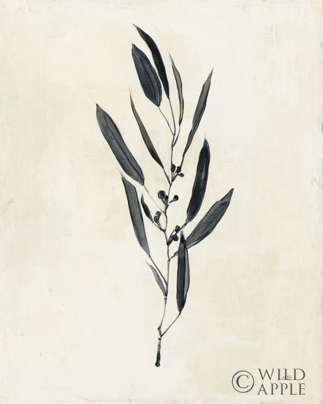 Reproduction of Botanical Study I by Julia Purinton - Wall Decor Art