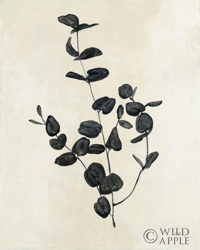 Reproduction of Botanical Study II by Julia Purinton - Wall Decor Art