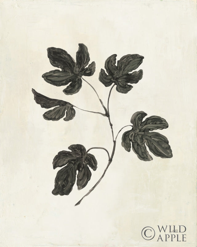Reproduction of Botanical Study III by Julia Purinton - Wall Decor Art