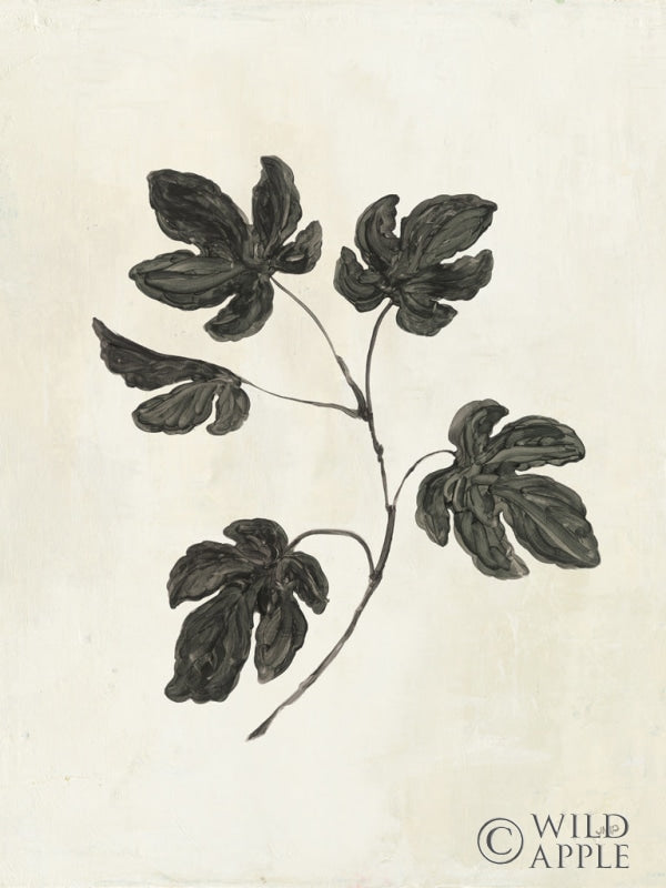 Reproduction of Botanical Study III Crop by Julia Purinton - Wall Decor Art