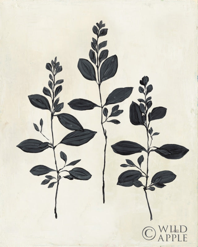 Reproduction of Botanical Study IV by Julia Purinton - Wall Decor Art