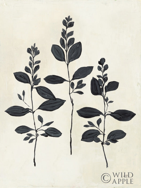 Reproduction of Botanical Study IV Crop by Julia Purinton - Wall Decor Art