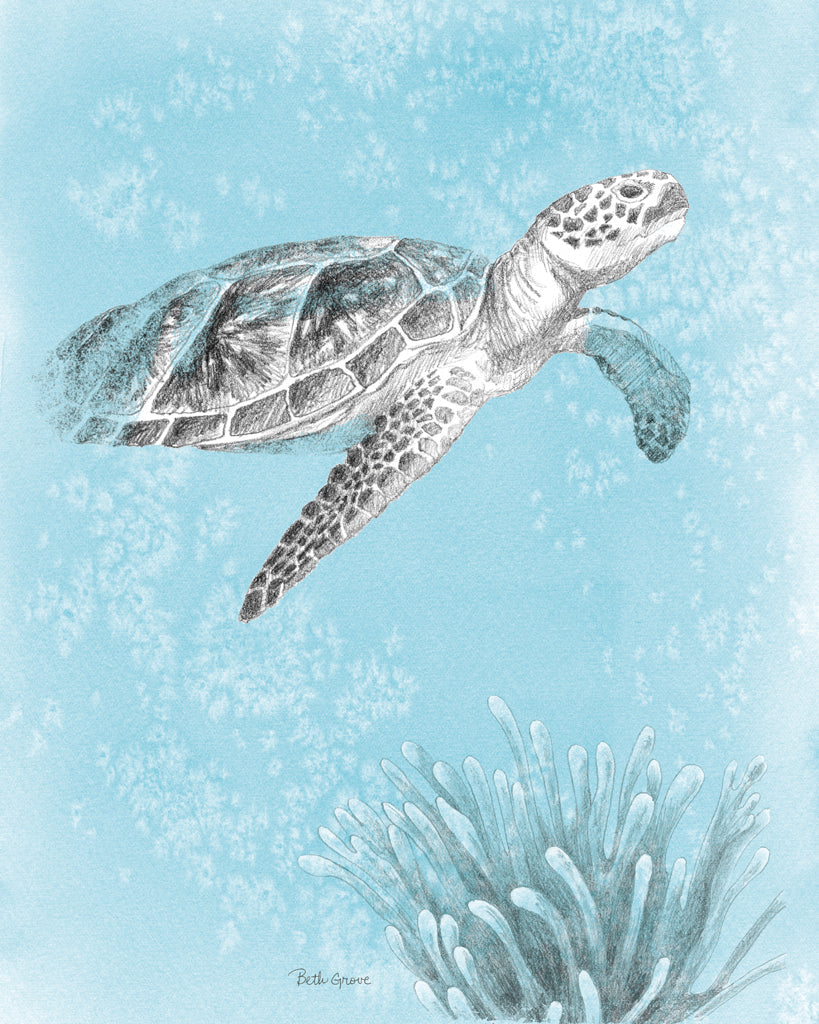 Reproduction of Coastal Sea Life I v2 by Beth Grove - Wall Decor Art