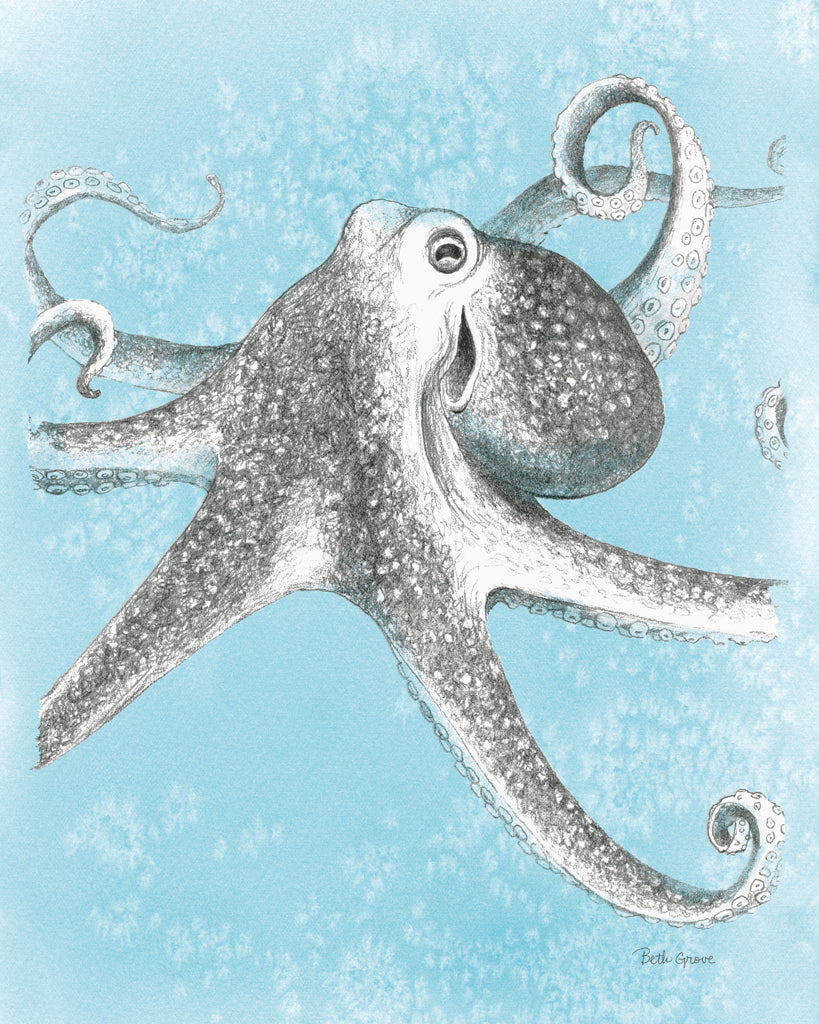 Reproduction of Coastal Sea Life II v2 by Beth Grove - Wall Decor Art