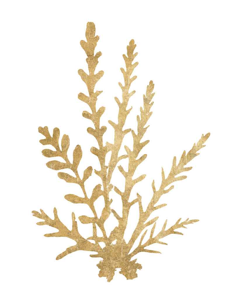 Reproduction of Pacific Sea Mosses III Gold by Wild Apple Portfolio - Wall Decor Art