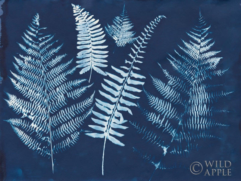 Reproduction of Nature By The Lake - Ferns I by Piper Rhue - Wall Decor Art