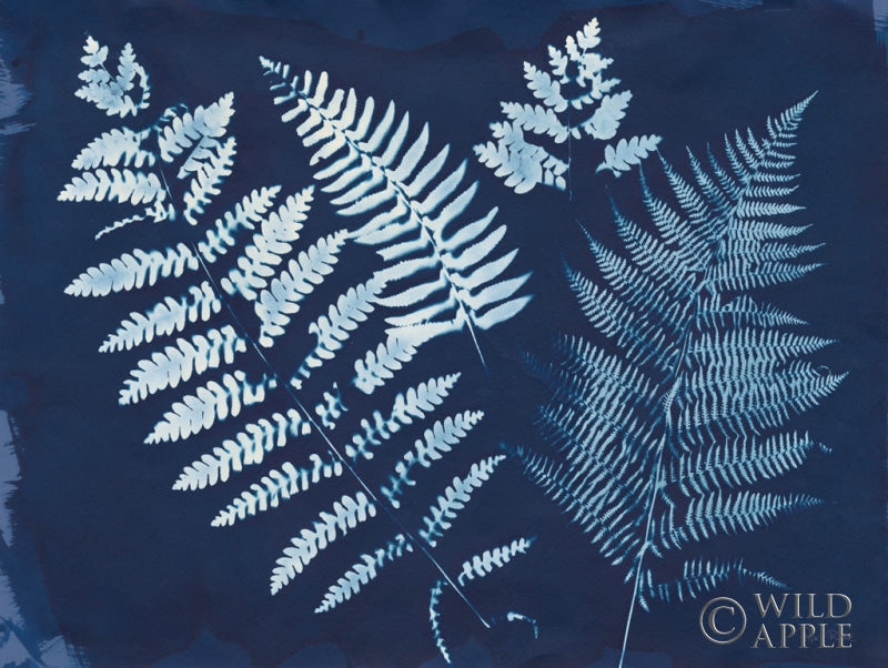 Reproduction of Nature By The Lake - Ferns II by Piper Rhue - Wall Decor Art