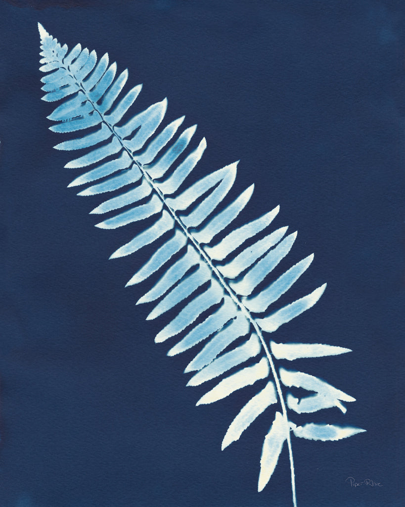 Reproduction of Nature by the Lake Ferns IV Crop by Piper Rhue - Wall Decor Art