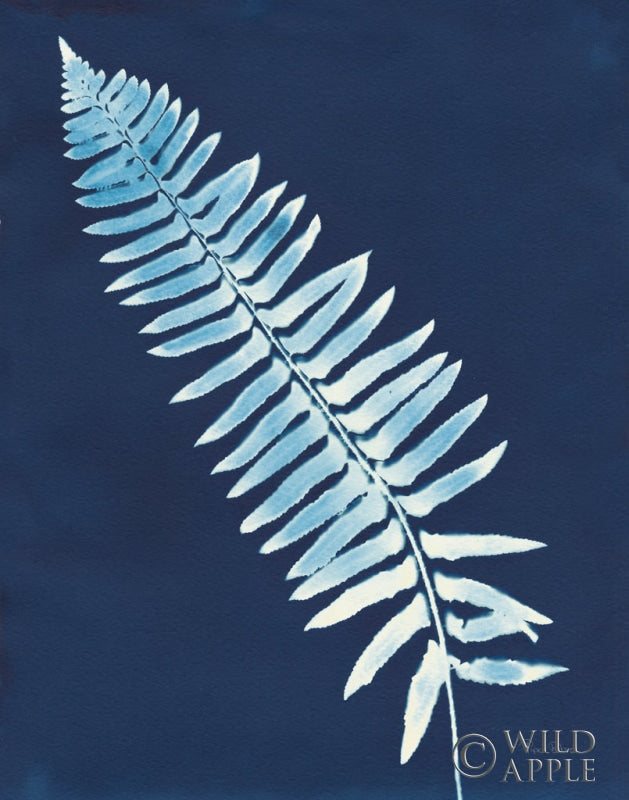 Reproduction of Nature By The Lake - Ferns IV Crop by Piper Rhue - Wall Decor Art