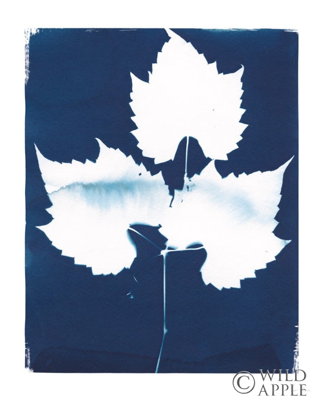 Reproduction of Nature By The Lake - Leaves I by Piper Rhue - Wall Decor Art