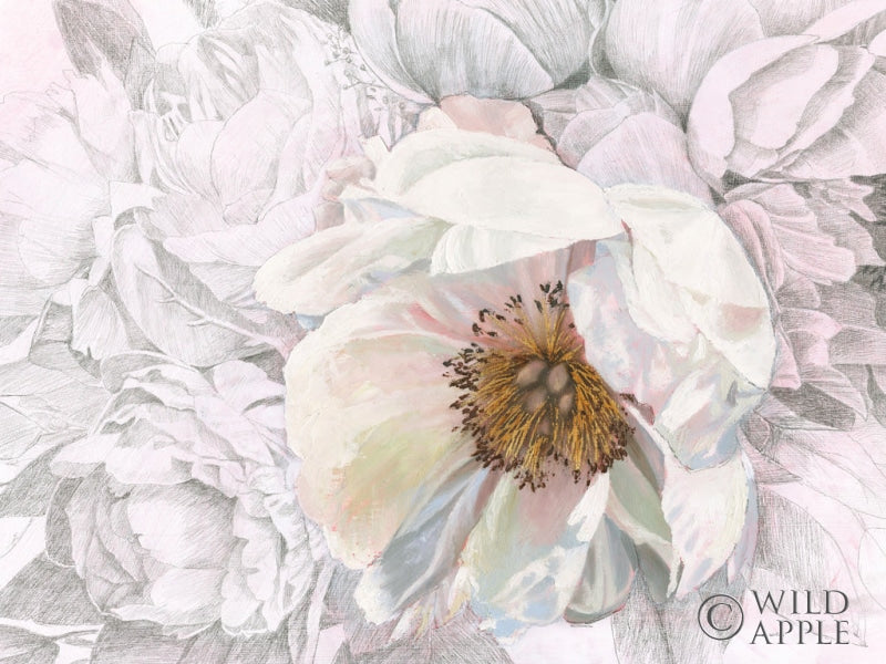 Reproduction of Blooming Sketch Crop by James Wiens - Wall Decor Art