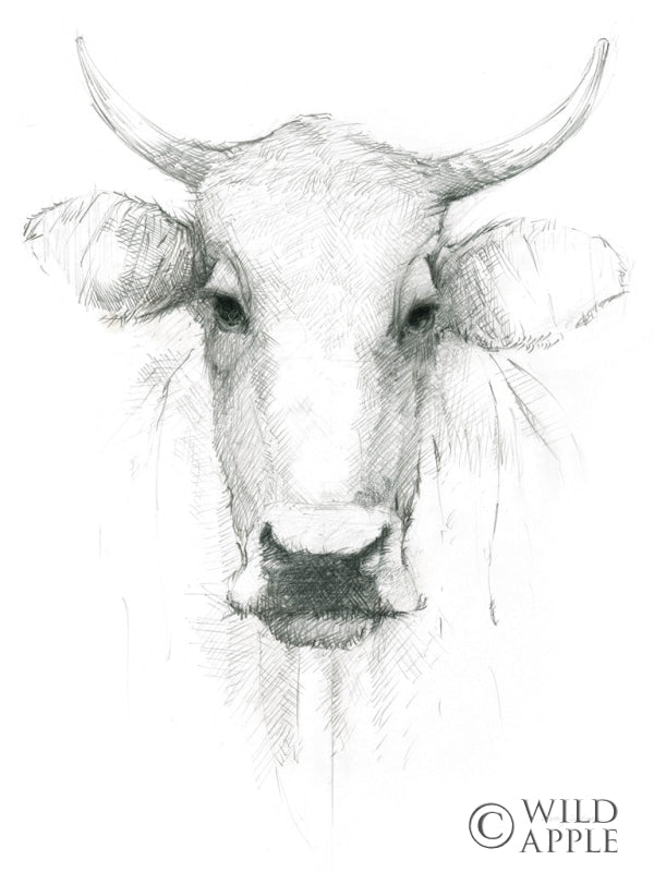 Reproduction of Cow Sketch Crop by Avery Tillmon - Wall Decor Art