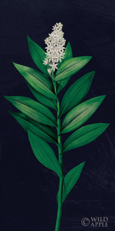 Reproduction of Dramatic Tropical III by Sue Schlabach - Wall Decor Art