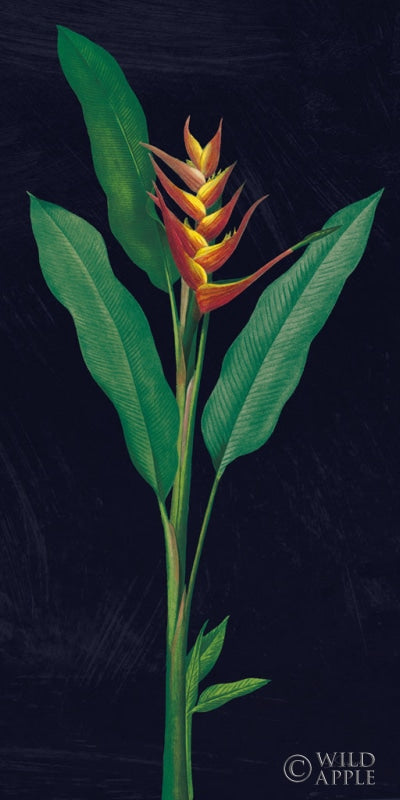 Reproduction of Dramatic Tropical IV by Sue Schlabach - Wall Decor Art