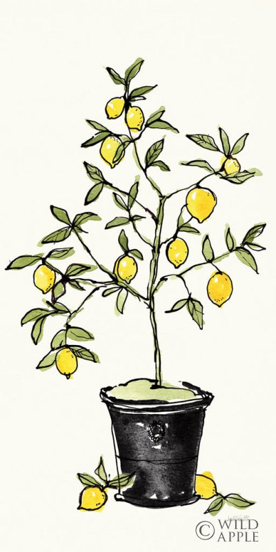Citron V