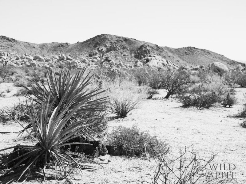 Reproduction of Road Trip II Crop by Elizabeth Urquhart - Wall Decor Art