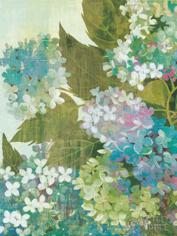 Reproduction of Grandiflora Bloom Crop by Kathrine Lovell - Wall Decor Art