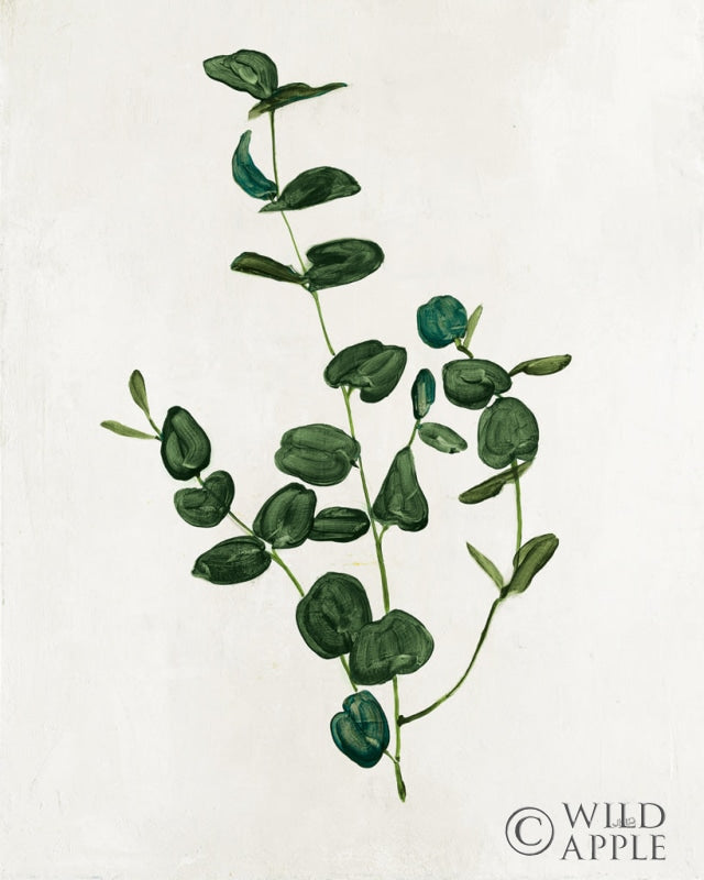 Reproduction of Botanical Study II Greenery by Julia Purinton - Wall Decor Art