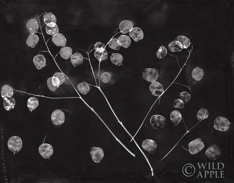 Reproduction of Nature by the Lake Honesty Black Crop by Piper Rhue - Wall Decor Art