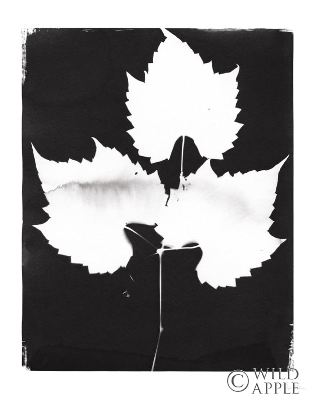 Reproduction of Nature by the Lake Leaves I Black by Piper Rhue - Wall Decor Art