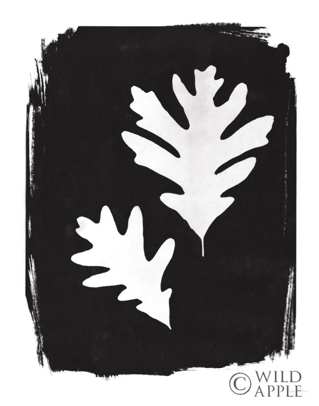 Reproduction of Nature by the Lake Leaves IV Black by Piper Rhue - Wall Decor Art