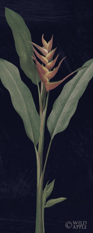 Reproduction of Dramatic Tropical IV Light Crop by Sue Schlabach - Wall Decor Art