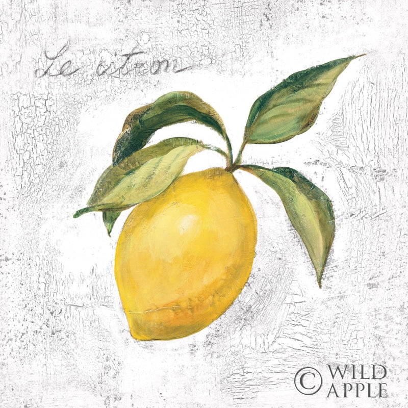 Reproduction of Le Citron on White by Silvia Vassileva - Wall Decor Art