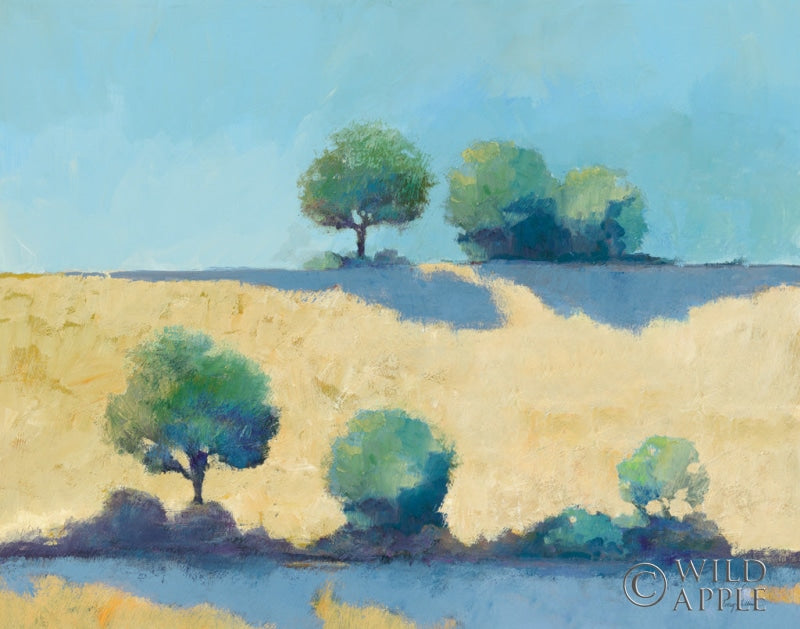 Reproduction of Shadows II by Avery Tillmon - Wall Decor Art