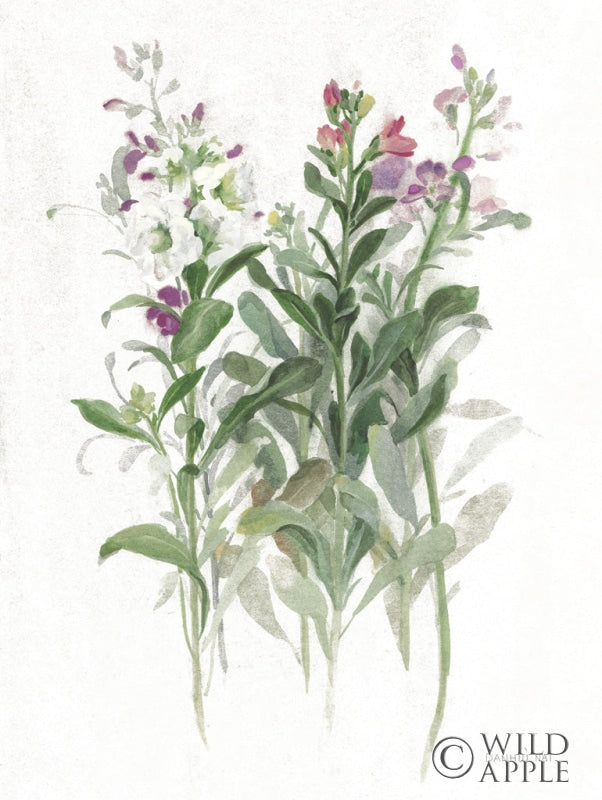 Reproduction of Sprigs of June I White by Danhui Nai - Wall Decor Art