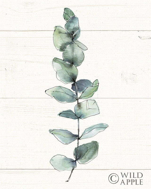 Reproduction of Modern Famhouse XIV v2 by Anne Tavoletti - Wall Decor Art