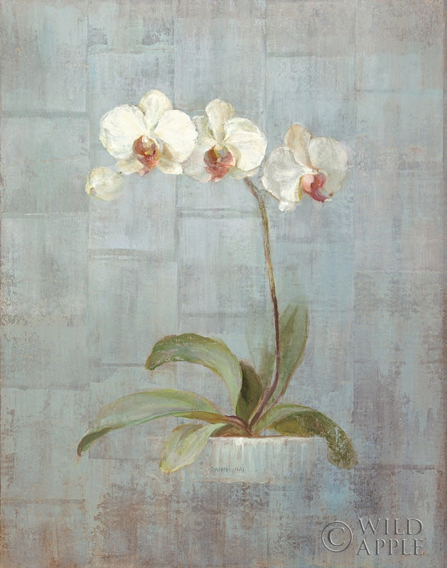 Elegant Orchid II