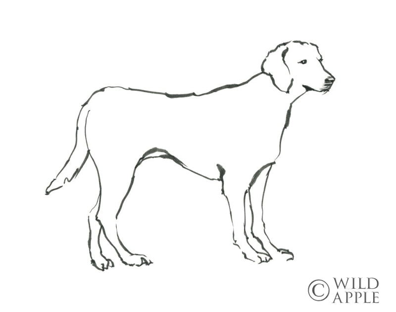 Ink Dog I