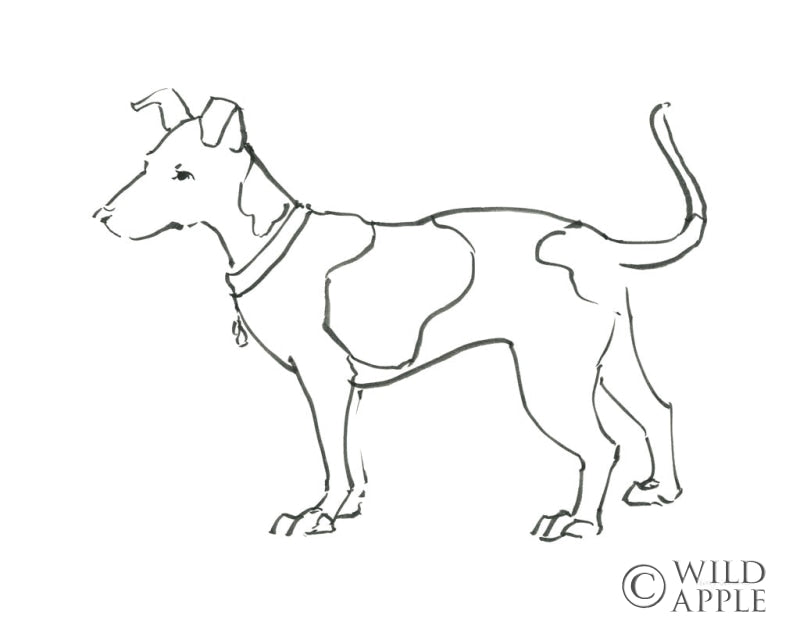 Ink Dog IV