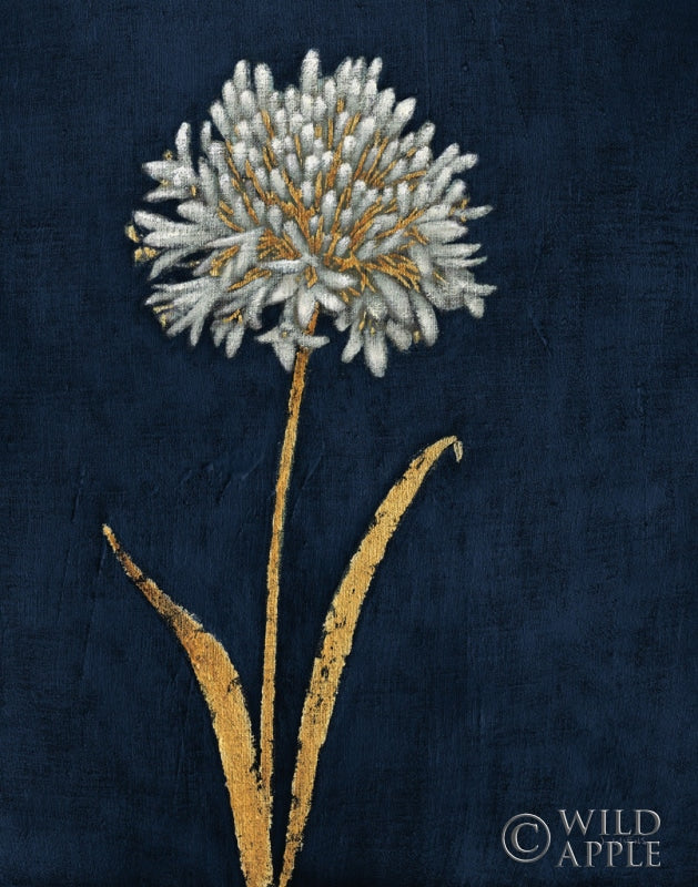 Reproduction of Shimmering Summer I Indigo Crop by James Wiens - Wall Decor Art