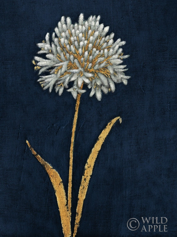 Reproduction of Shimmering Summer I Indigo Crop by James Wiens - Wall Decor Art