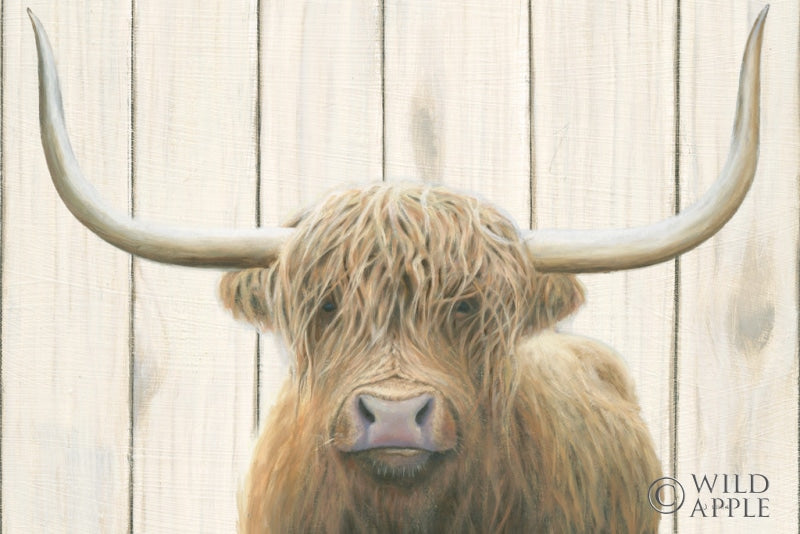 Reproduction of Highland Cow Shiplap by James Wiens - Wall Decor Art