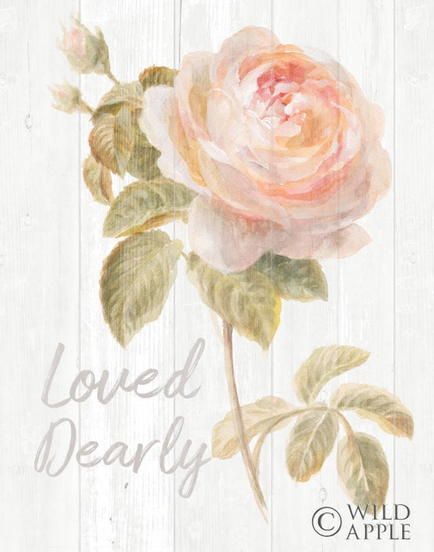 Reproduction of Garden Rose on Wood Dearly by Danhui Nai - Wall Decor Art