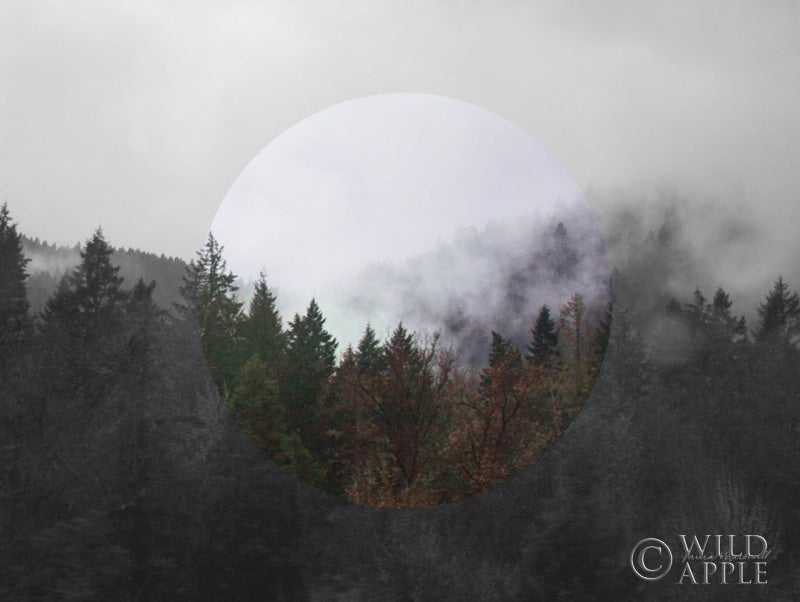 Reproduction of Bold Adventures II v2 No Words by Laura Marshall - Wall Decor Art